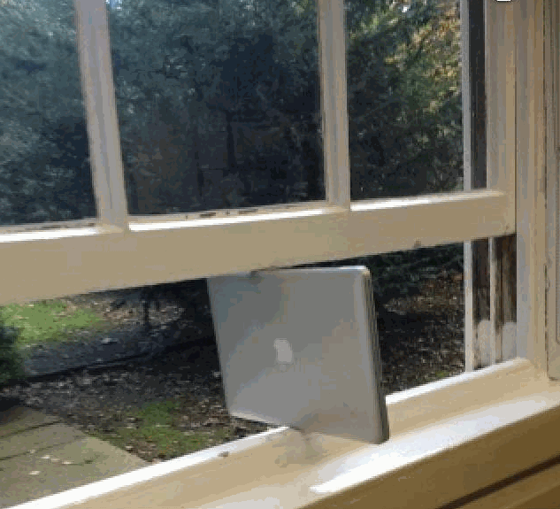 Mac supports Windows.